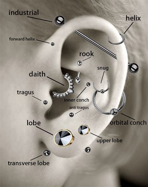 piercing tipi|ear piercings labeled.